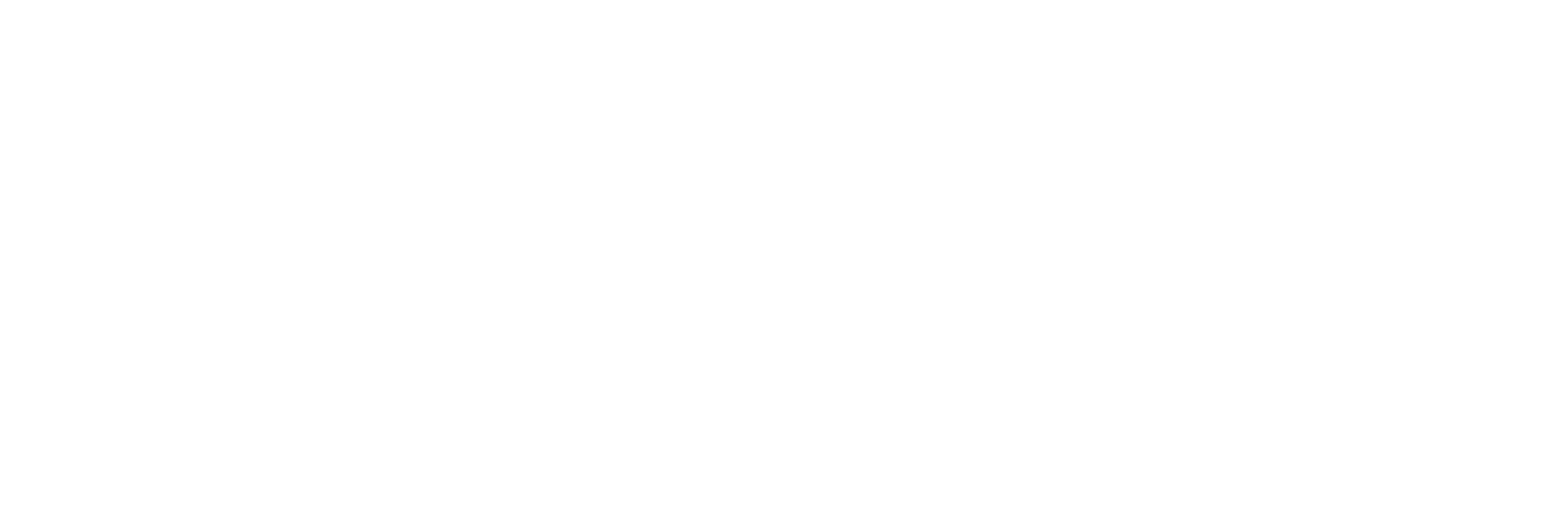 RDI%20Logo%20Primary%20Negative.png